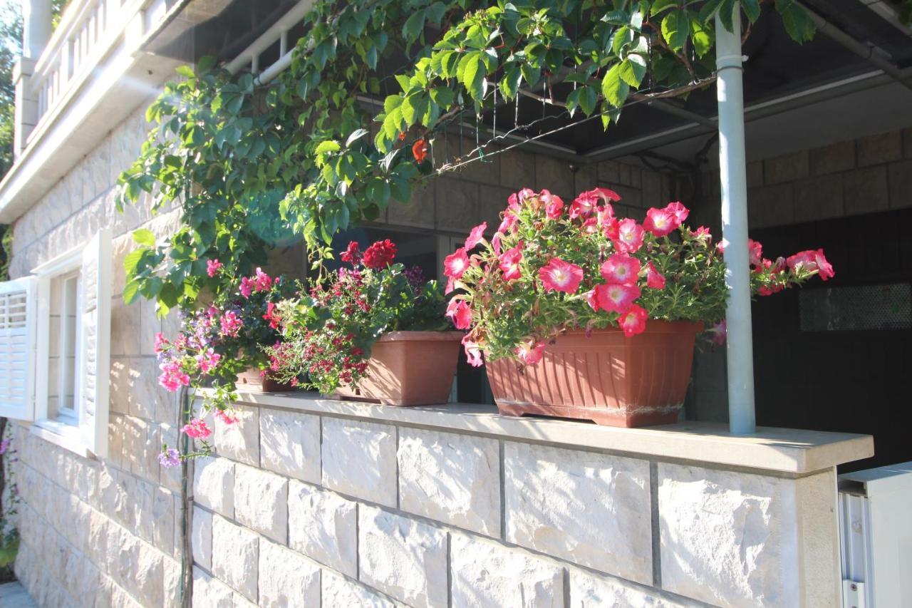 Apartment Ruzica Zrnovo Екстер'єр фото
